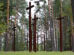 Кресты над братскими могилами польских граждан. Польское мемориальное кладбище 