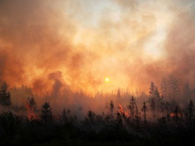 Лесные пожары в Якутии (архив). Фото: Светлана Павлова/ТАСС